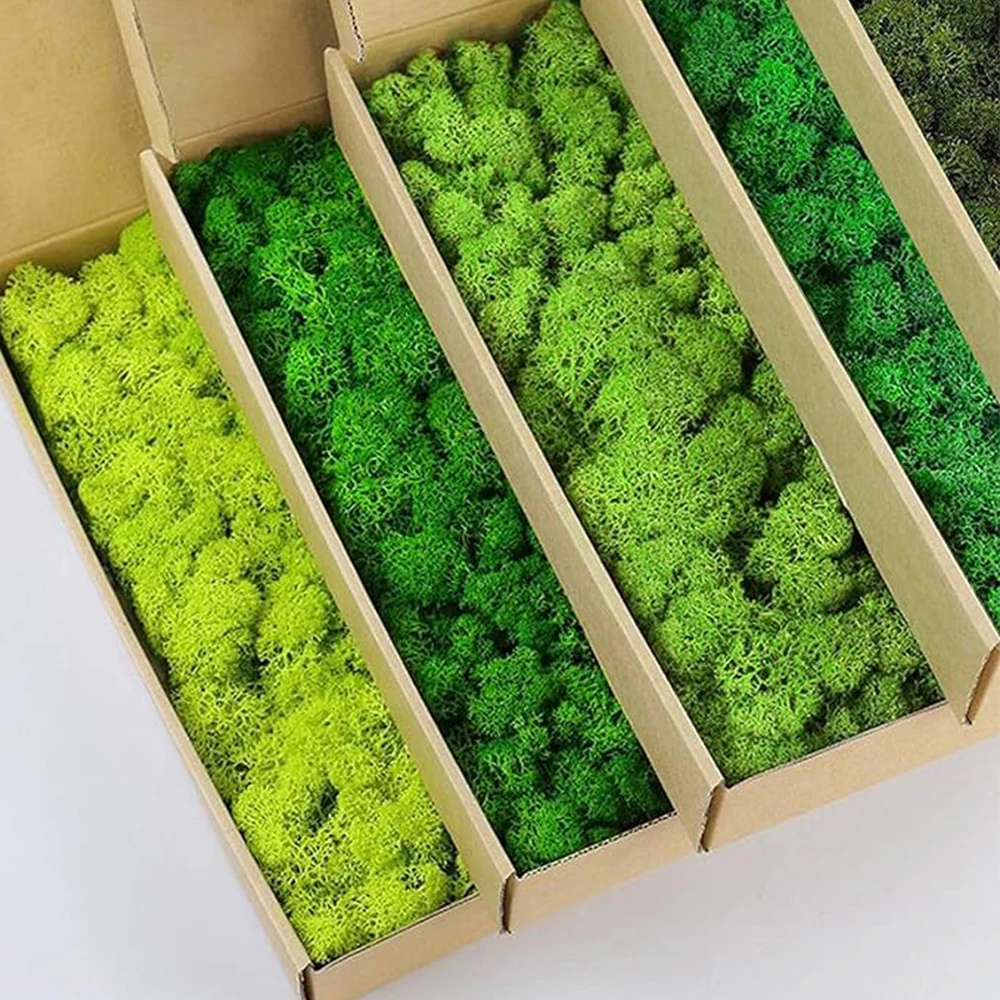 20-200 グラム人工緑の植物偽の草永遠の生活苔草家庭用リ - Sphagnum Moss Dry のレビューと価格