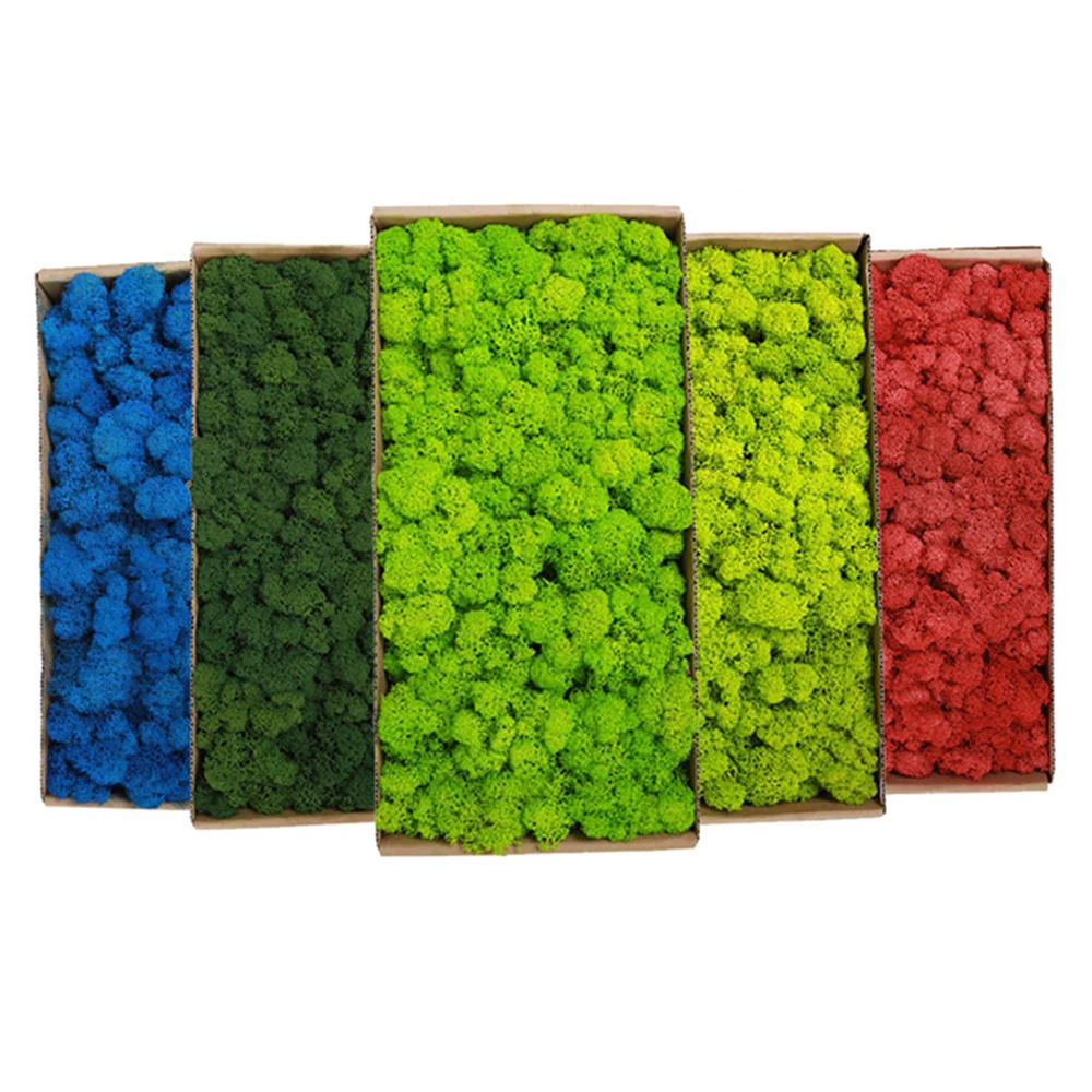 20-200 グラム人工緑の植物偽の草永遠の生活苔草家庭用リ - Sphagnum Moss Dry のレビューと価格