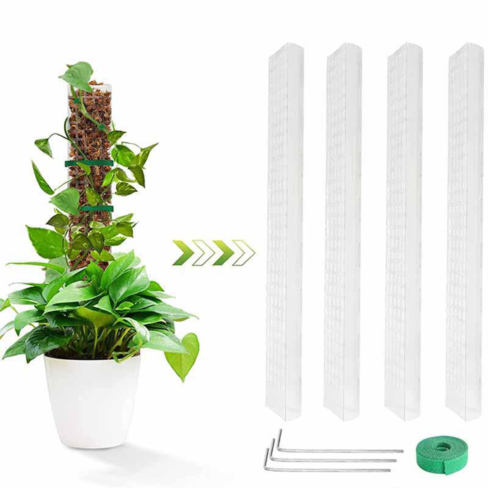 クライミングプラントモスポール、モンステラカプス、お金の植物 - Sphagnum Moss Dry のレビューと価格
