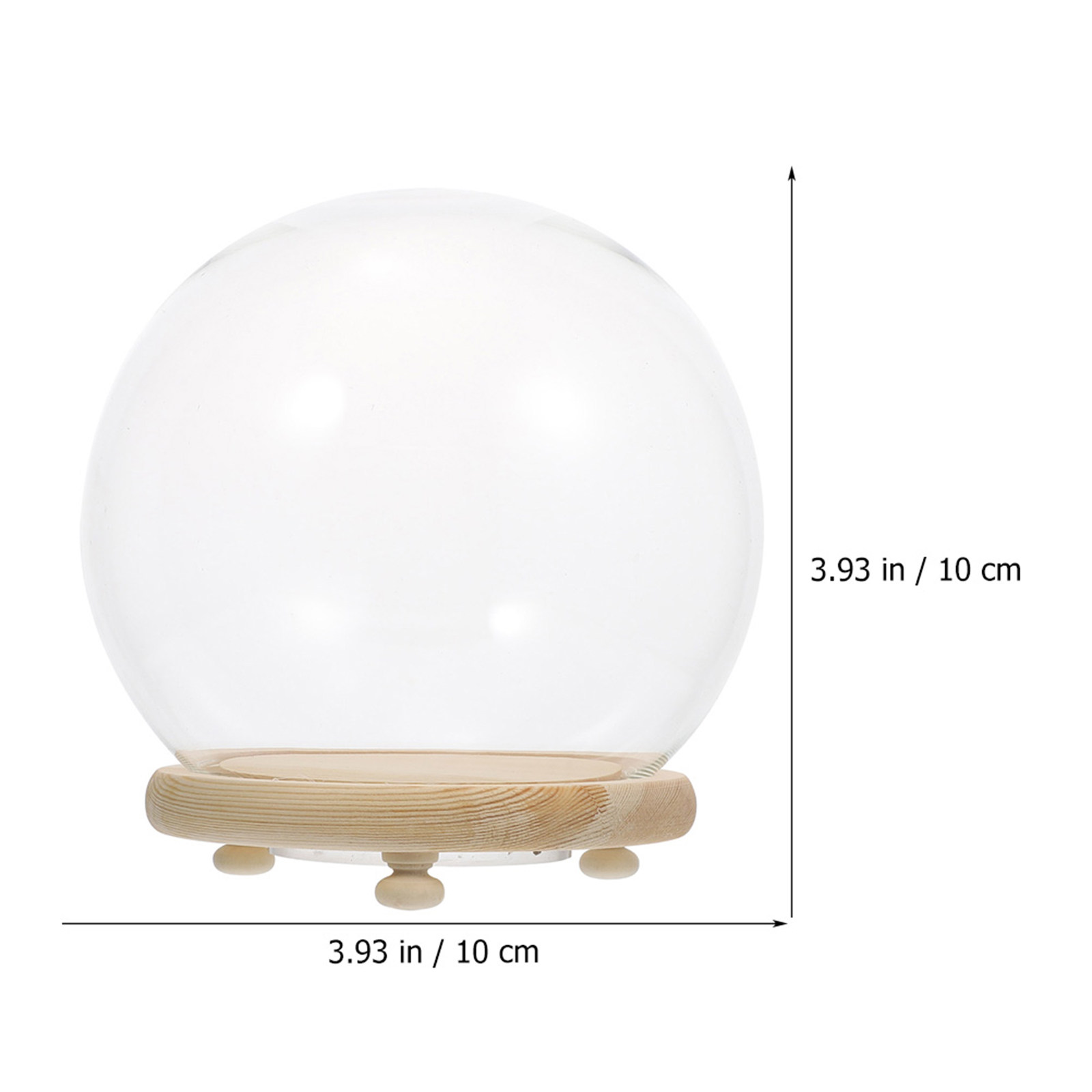 木製の台座が付いたガラス製のドーム型花瓶。生花を長く美しく飾 - Plastic Dome Clear のレビューと価格