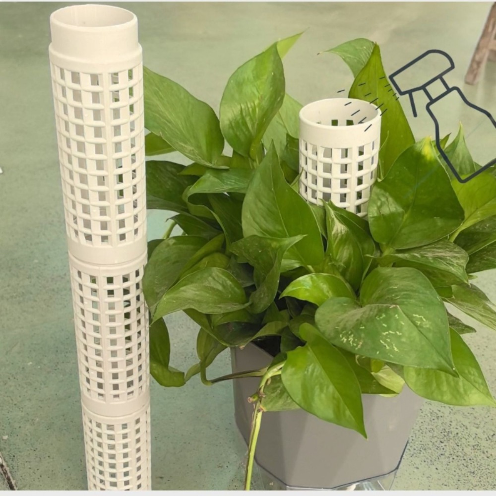 6個セット 積み重ね可能な植物用モス支柱、プラスチック製のモ - Sphagnum Moss Dry のレビューと価格