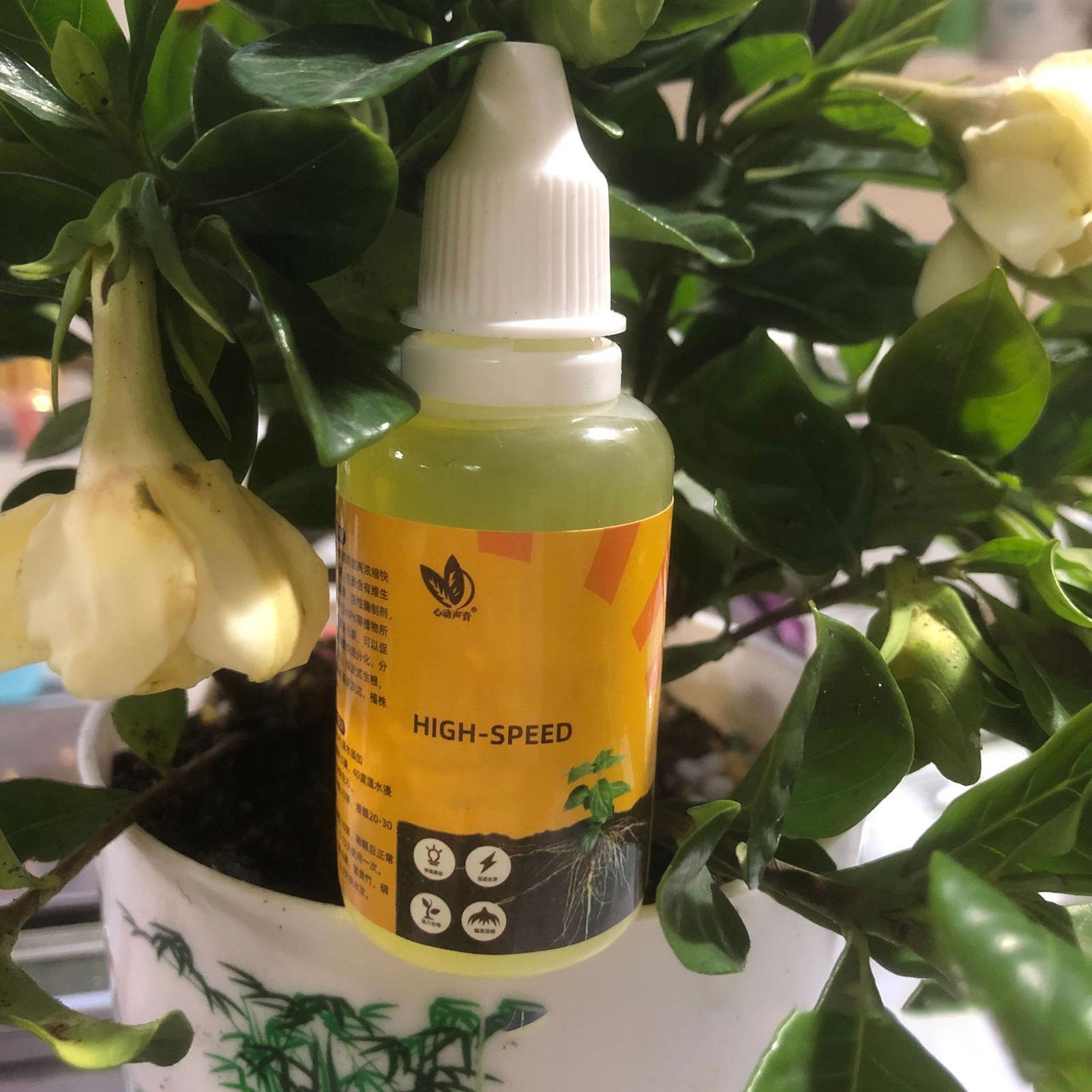 植物急速発根ソリューション 50ml 栄養豊富なフォーミュラ - Root Stimulator Liquid のレビューと価格